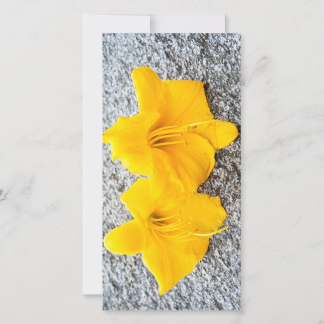 gult blommor i fullt blomma varje dag (Framsida)
