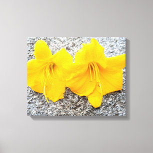 gult blommor i fullt blomma varje dag canvastryck