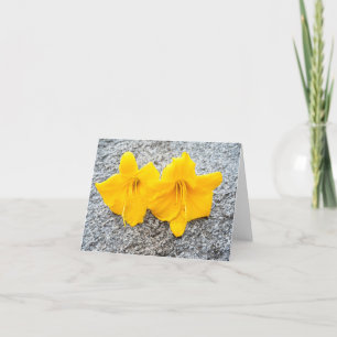 gult blommor i fullt blomma varje dag tack kort