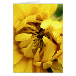 Gult Bloom (5.0) Hälsningskort