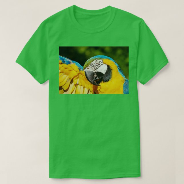 Gult Blue amp Grönt Parrot T Shirt (Design framsida)