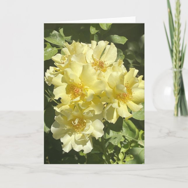 Gult Botaniska blommor Kort (Framsida)