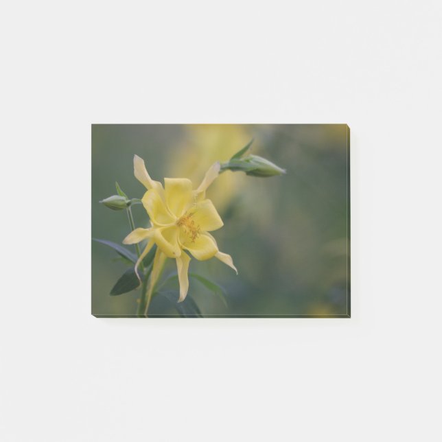 Gult Bra förmiddag Post-it Block (Framsida)