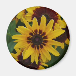 Gult Brown Flowers-magnet Magnet