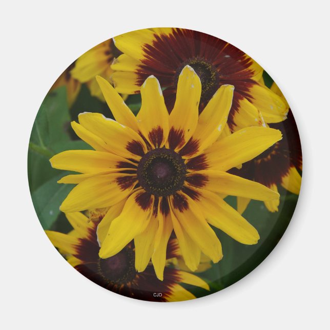 Gult Brown Flowers-magnet Magnet (Framsidan)
