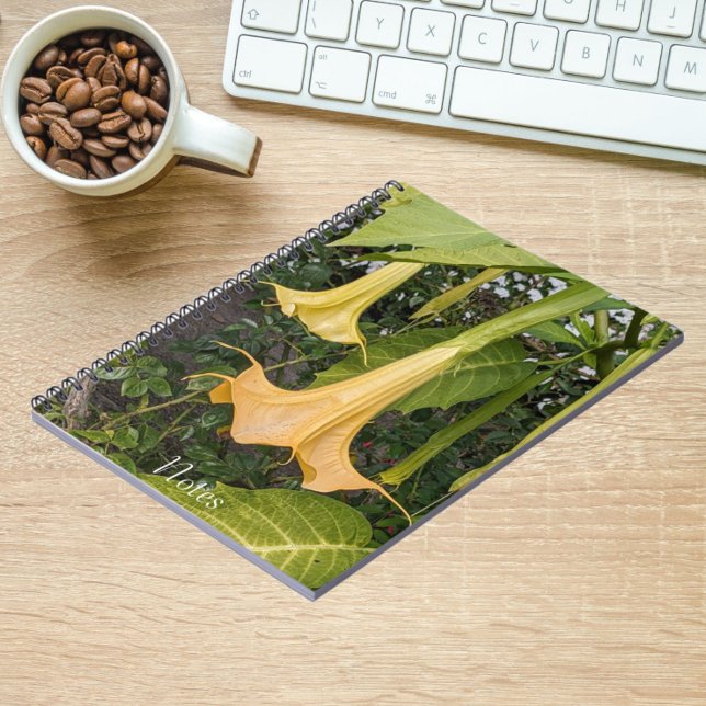 Gult Brugmansia Bloom Blommigt Anteckningsbok (In Situ)