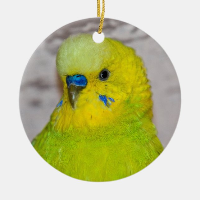 Gult Budgie Ornament (Framsidan)