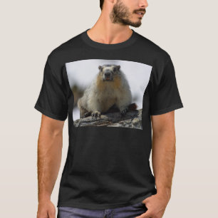 Gult buktad Marmot T-shirt