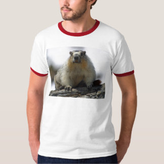Gult buktad Marmot Tee Shirt