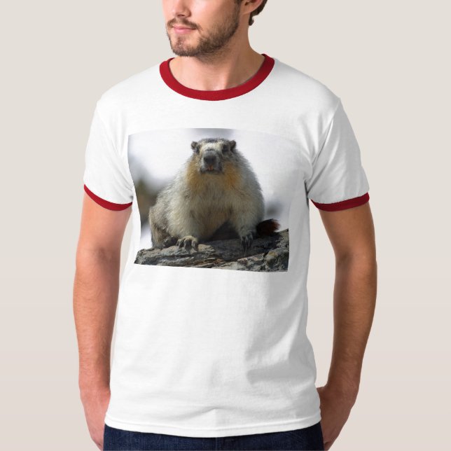 Gult buktad Marmot Tee Shirt (Framsida)
