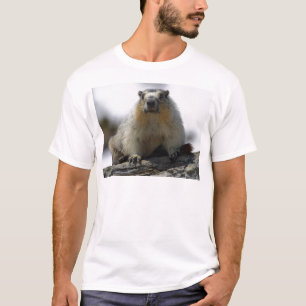 Gult buktad Marmot Tee Shirt