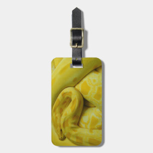Gult Burmese Python Bagagebricka