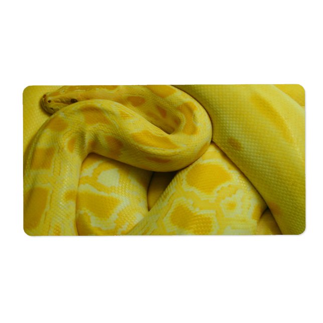 Gult Burmese Python Fraktsedel (Framsidan)