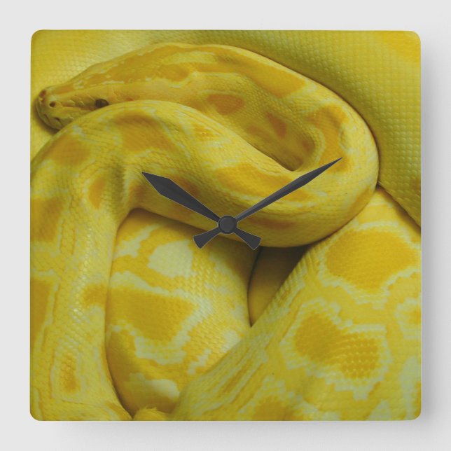 Gult Burmese Python Fyrkantig Klocka (Framsida)