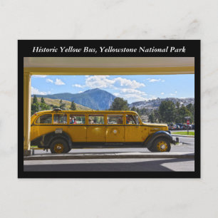 Gult Buss, Yellowstone National Park, Wyoming Vykort