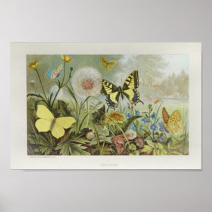 Gult Butterflies on Flowers Vintage Art Print Poster