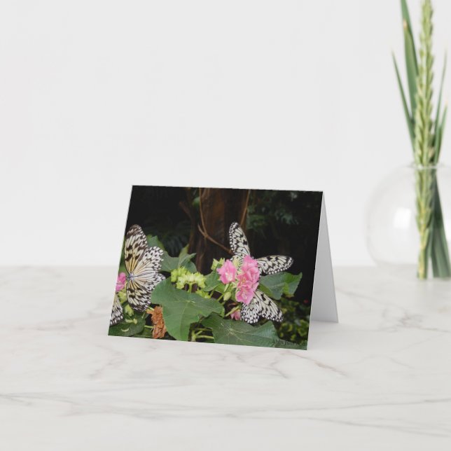 Gult Butterflies on Tropical Löv Helgkort (Framsida)