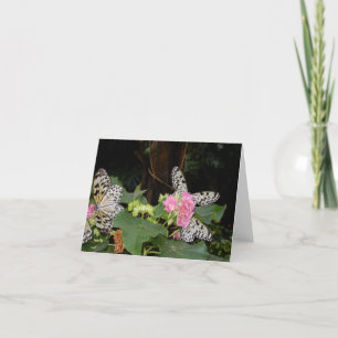Gult Butterflies on Tropical Löv with Flowers Helgkort