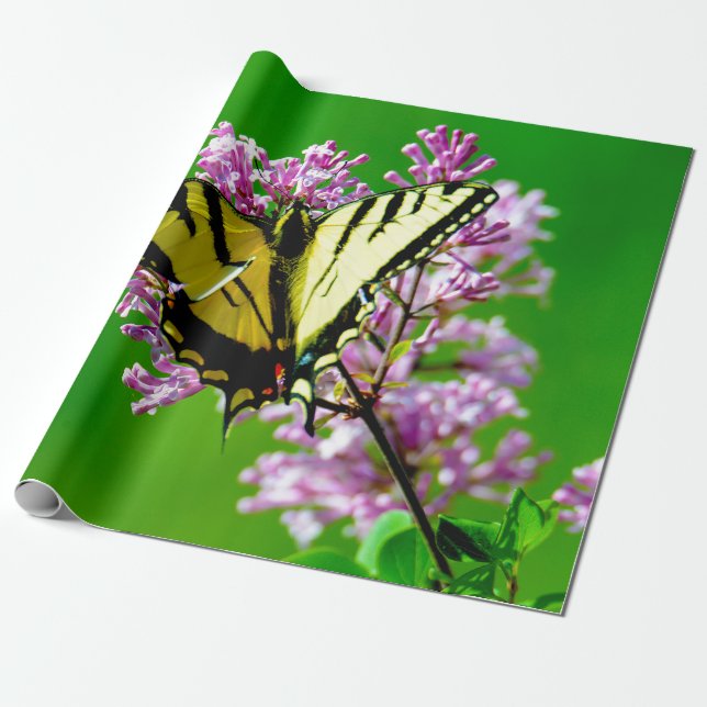 GULT BUTTERFLIGEN PÅ ROSA FLOWERS PRESENTPAPPER (Utrullad)