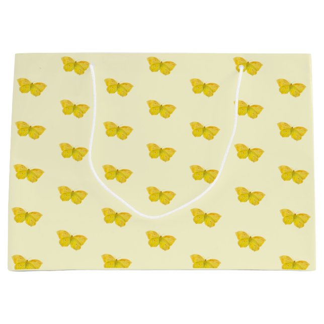 Gult Butterfly Common Brimstone Flies (Framsidan)