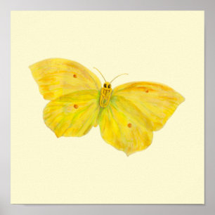 Gult Butterfly Common Brimstone-flygning Poster