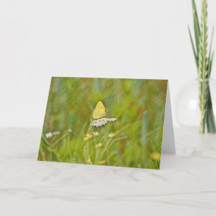 Gult Butterfly Flowers naturgaskort Kort
