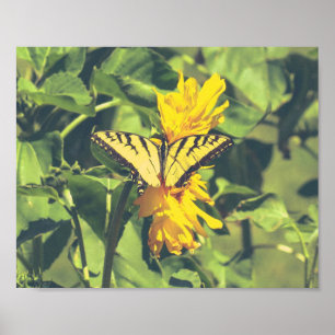 Gult Butterfly & Flowers Poster
