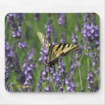 Gult Butterfly i Lila Lavendar Mouse Pad
