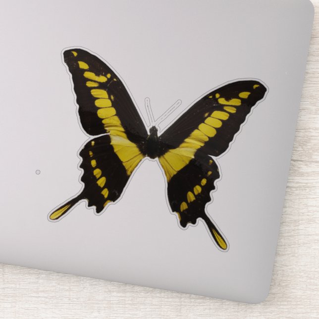 Gult Butterfly Klistermärken (Detalj)