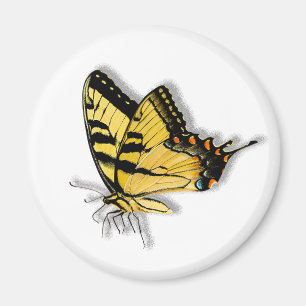 Gult Butterfly Magnet