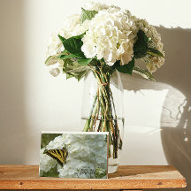 Gult Butterfly on White Phlox Blommigt Sympathy