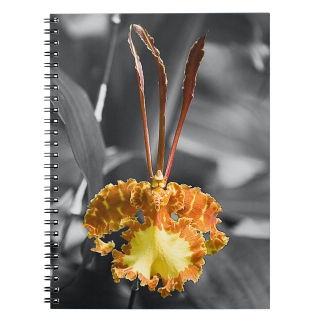 Gult Butterfly Orchid Flower Anteckningsbok (Framsidan)