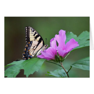 Gult Butterfly på Rosor Hälsningskort