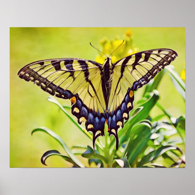 Gult Butterfly Photographic Art Print Poster (Framsidan)