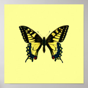 Gult Butterfly Poster