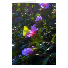 Gult Butterfly Rosa ros i Sharon Hälsningskort