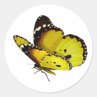 gult Butterfly Square Stickers Runt Klistermärke