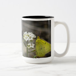 Gult Butterfly Två-Tonad Mugg