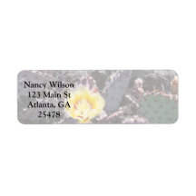 Gult cactus blomma i april