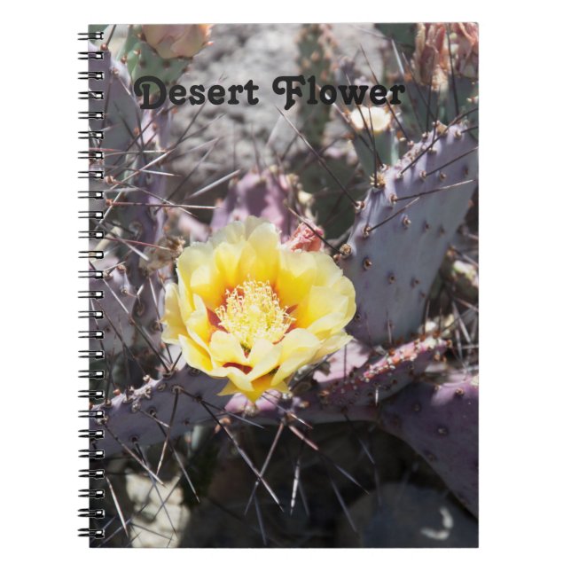 Gult cactus blomma i vår anteckningsbok (Framsidan)