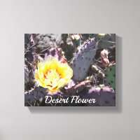 Gult cactus blomma i vår