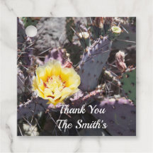 Gult cactus blomma i vår