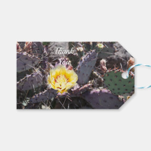 Gult cactus blomma i vår presentetikett