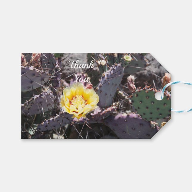 Gult cactus blomma i vår presentetikett (Framsidan (Horisontell))