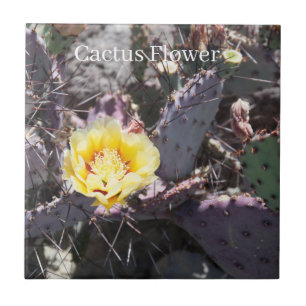 Gult cactus blomma kakelplatta