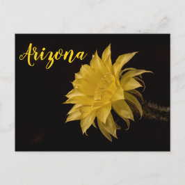 Gult cactus blomning, Arizona Vykort