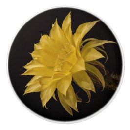 Gult cactus blomning knopp