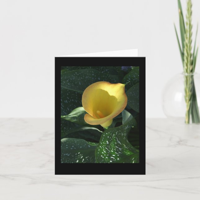 Gult Calla Lily Blank Notecard Kort (Framsida)