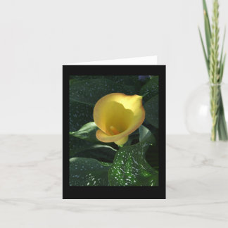 Gult Calla Lily Blank Notecard Kort