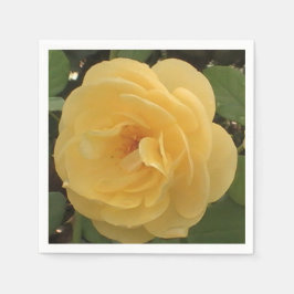 Gult camellia napkins pappersservett